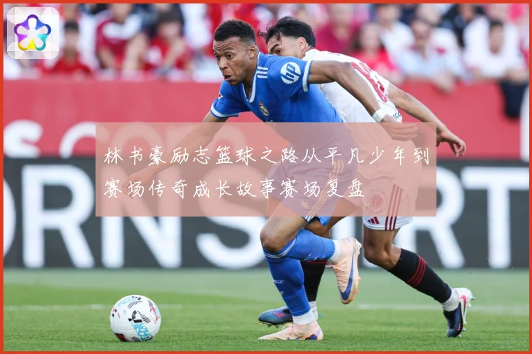 林书豪励志篮球之路从平凡少年到赛场传奇成长故事赛场复盘