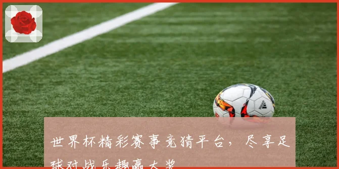 世界杯精彩赛事竞猜平台，尽享足球对战乐趣赢大奖