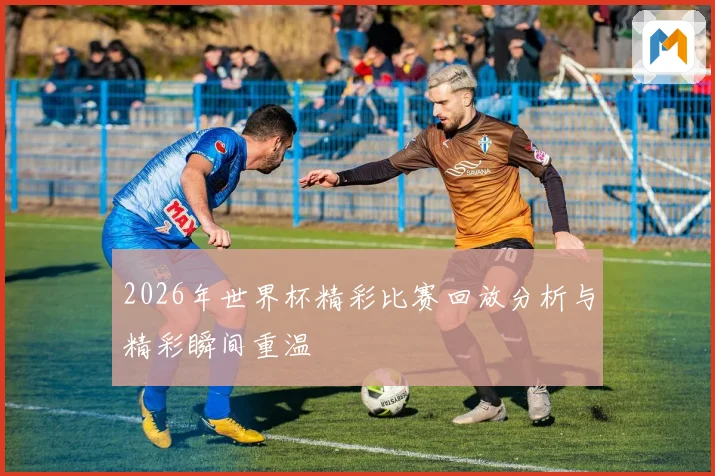 2026年世界杯精彩比赛回放分析与精彩瞬间重温