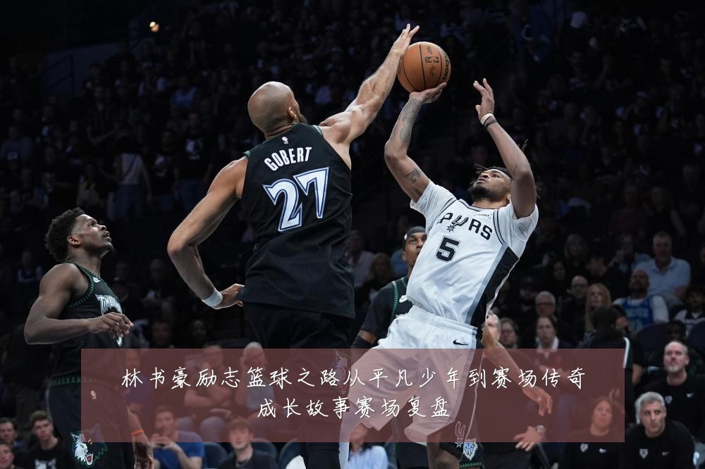 林书豪励志篮球之路从平凡少年到赛场传奇成长故事赛场复盘
